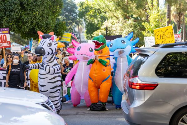 Die besten aufblasbaren T-Rex-Kostüme für Spaß auf jeder Feier